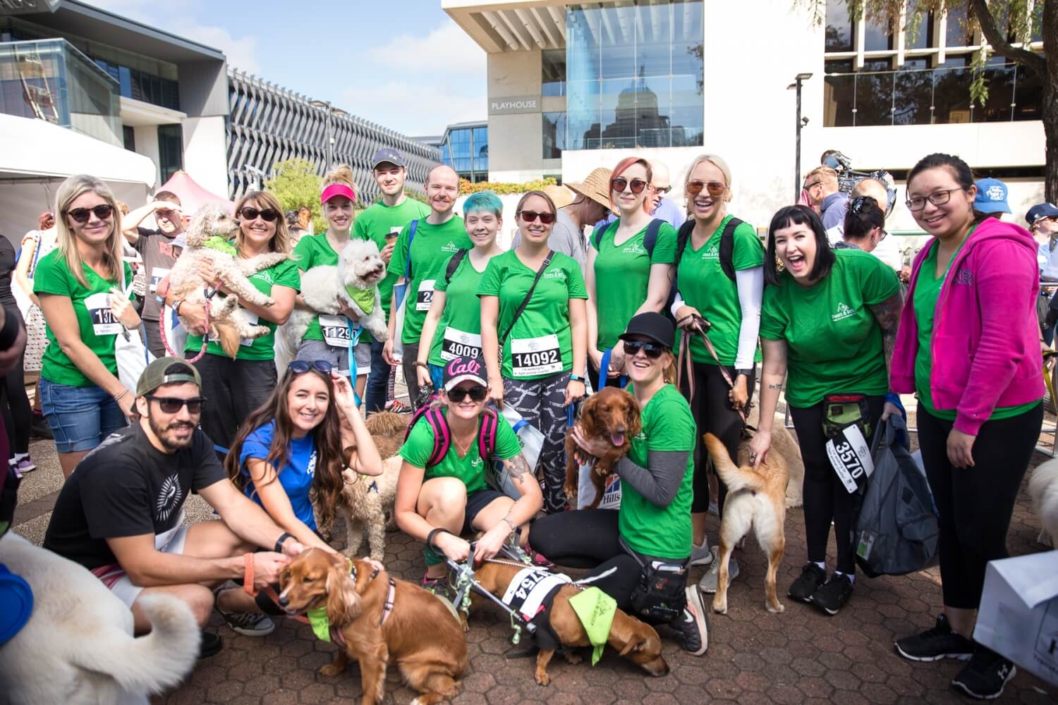 RSPCA Million Paws Walk The Weekend Edition What's on in Brisbane