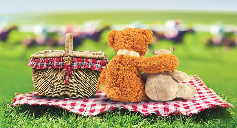 Teddy Bears Picnic | Events | The Weekend Edition