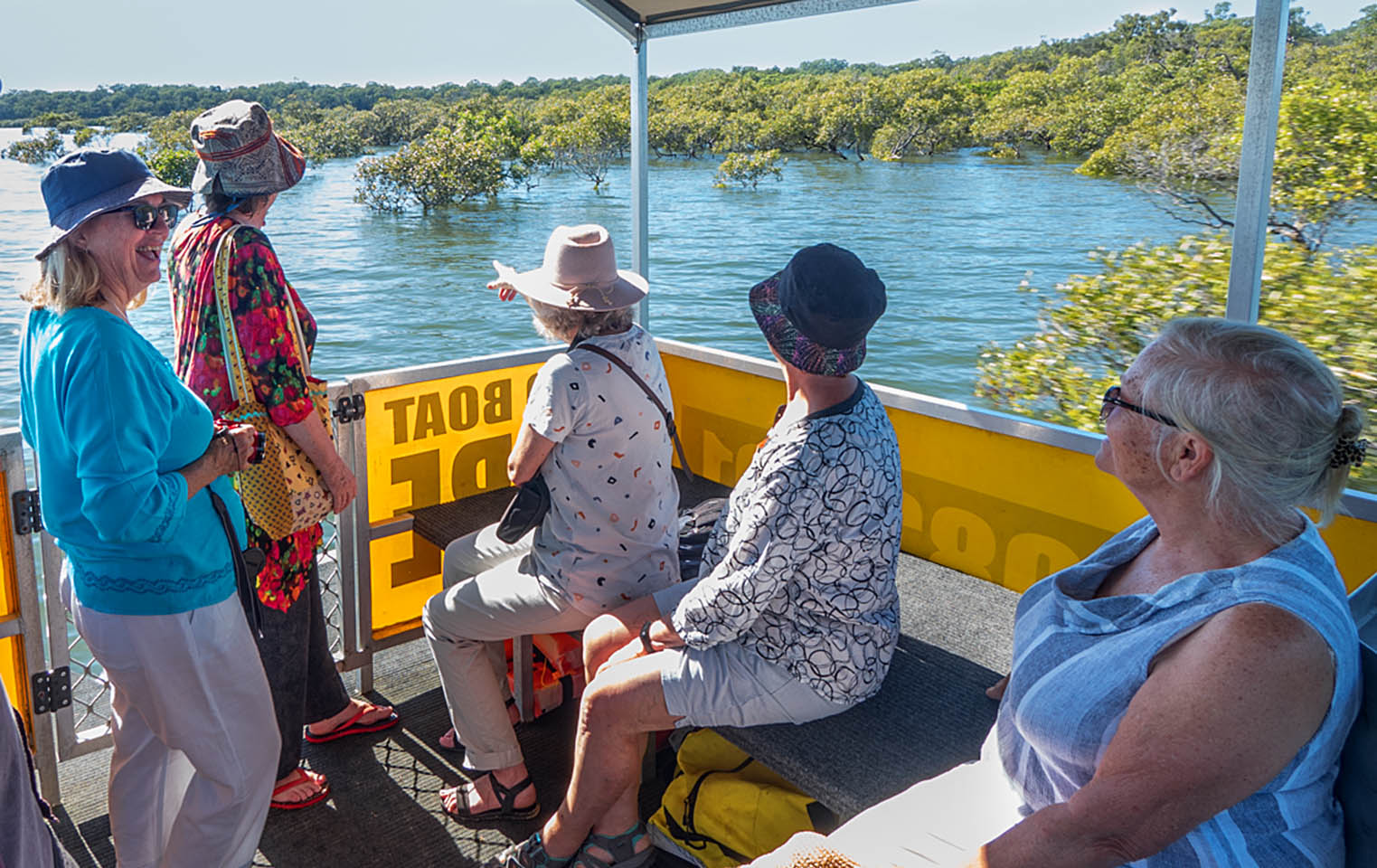 Coochiemudlo Island Mangrove Festival What S On Brisbane The Weekend Edition