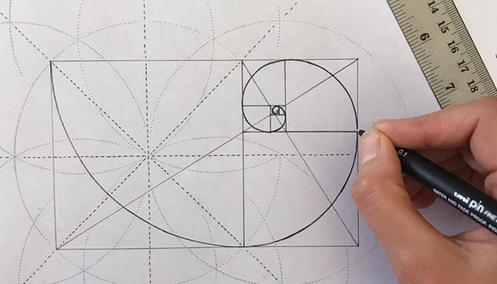 Golden Spirals & The Fibonnaci Sequence | The Weekend Edition Gold Coast