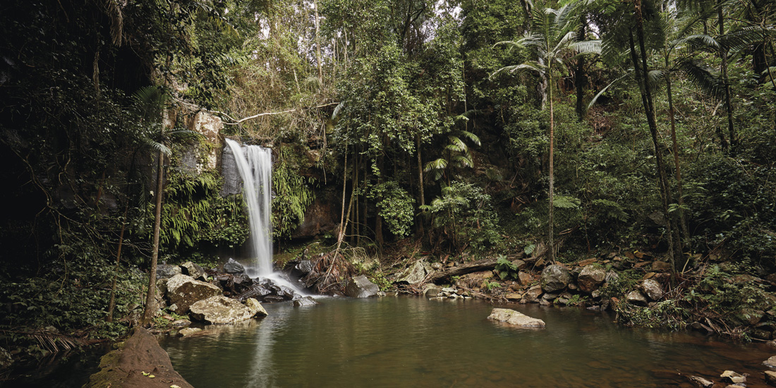 Discover the Gold Coast Hinterland | Destination | The Weekend Edition